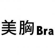 美胸 Bra