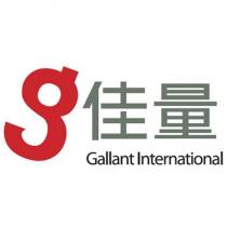 佳量 Gallant International 及 g 設計字