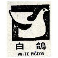白鴿 WHITE PIGEON