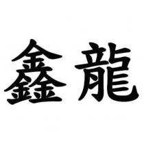 鑫龍