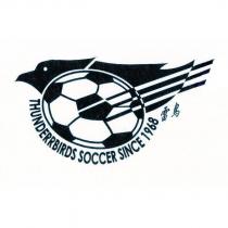 雷鳥 THUNDERRBIRDS SOCCER SINCE1968 及圖