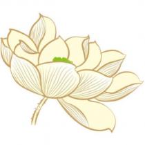 蓮花圖案