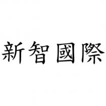 新智國際