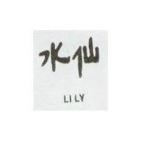 水仙 LILY