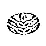 花蕊圖形