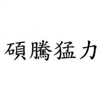 碩騰猛力