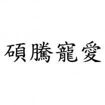碩騰寵愛