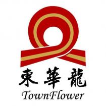 東華龍及圖 Town Flower