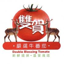雙賀及圖 Double Blessing Tomato