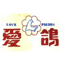 愛鴿及圖 LOVE PIGEON