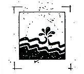波浪圖案