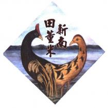 新南田董米及圖