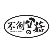 不倒の菇 台中 新社及圖