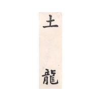 土龍