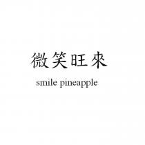 微笑旺來 smile pineapple