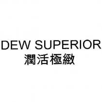 DEW SUPERIOR/ 潤活極緻