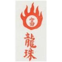龍珠及圖