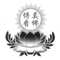 真佛傳香及設計圖