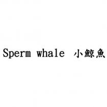 Sperm whale 小鯨魚