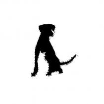 猫狗圖