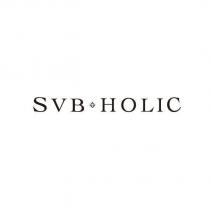 SVB HOLIC 及圖