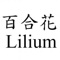百合花 Lilium