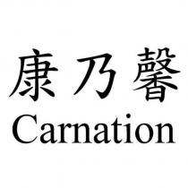 康乃馨 Carnation