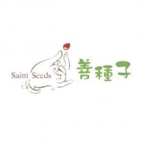善種子 Saint Seeds 及圖