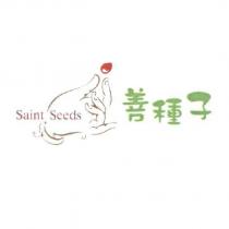 善種子 Saint Seeds 及圖