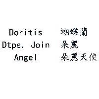 Doritis Dtps. Join Angel 蝴蝶蘭 朵麗 朵麗天使