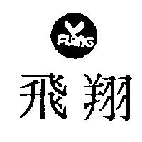 飛翔及圖 FLING 