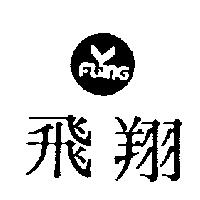 飛翔及圖 FLYING