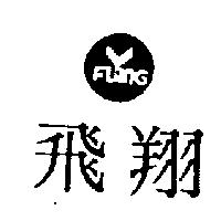 飛翔及圖 FLING