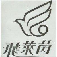 飛萊茵及圖