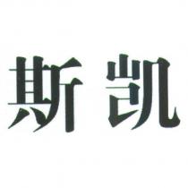 斯凱