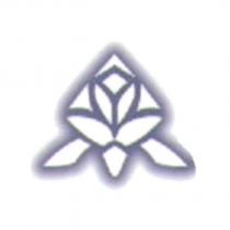 花圖形