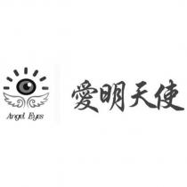 Angel Eyes 愛明天使及設計圖