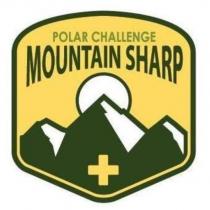 POLAR CHALLENGE MOUNTAIN SHARP 及圖