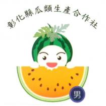 彰化縣瓜類生產合作社 男 西瓜設計圖