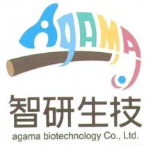 智研生技及圖