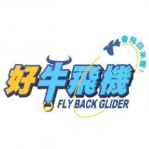 好牛飛機 FLY BACK GLIDER 會飛回來喔及圖