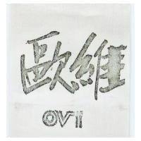 歐維 OVI 