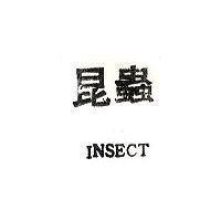 昆蟲 INSECT 