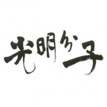 光明分子