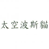 太空波斯貓