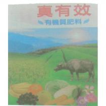 真有效有機質肥料及圖