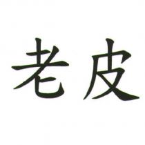 老皮