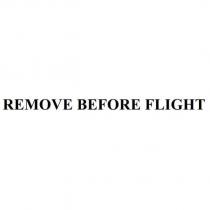 REMOVE BEFORE FLIGHT