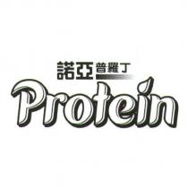 諾亞普羅丁 Protein 及圖
