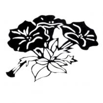 花圖